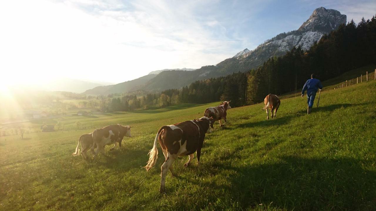 Fumerhof Strobl Exterior foto